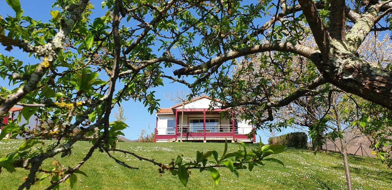 Domaine Chalets Larlapean Saint-Martin-dʼArrossa Buitenkant foto